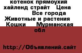 котенок прямоухий  хайленд страйт › Цена ­ 10 000 - Все города Животные и растения » Кошки   . Мурманская обл.